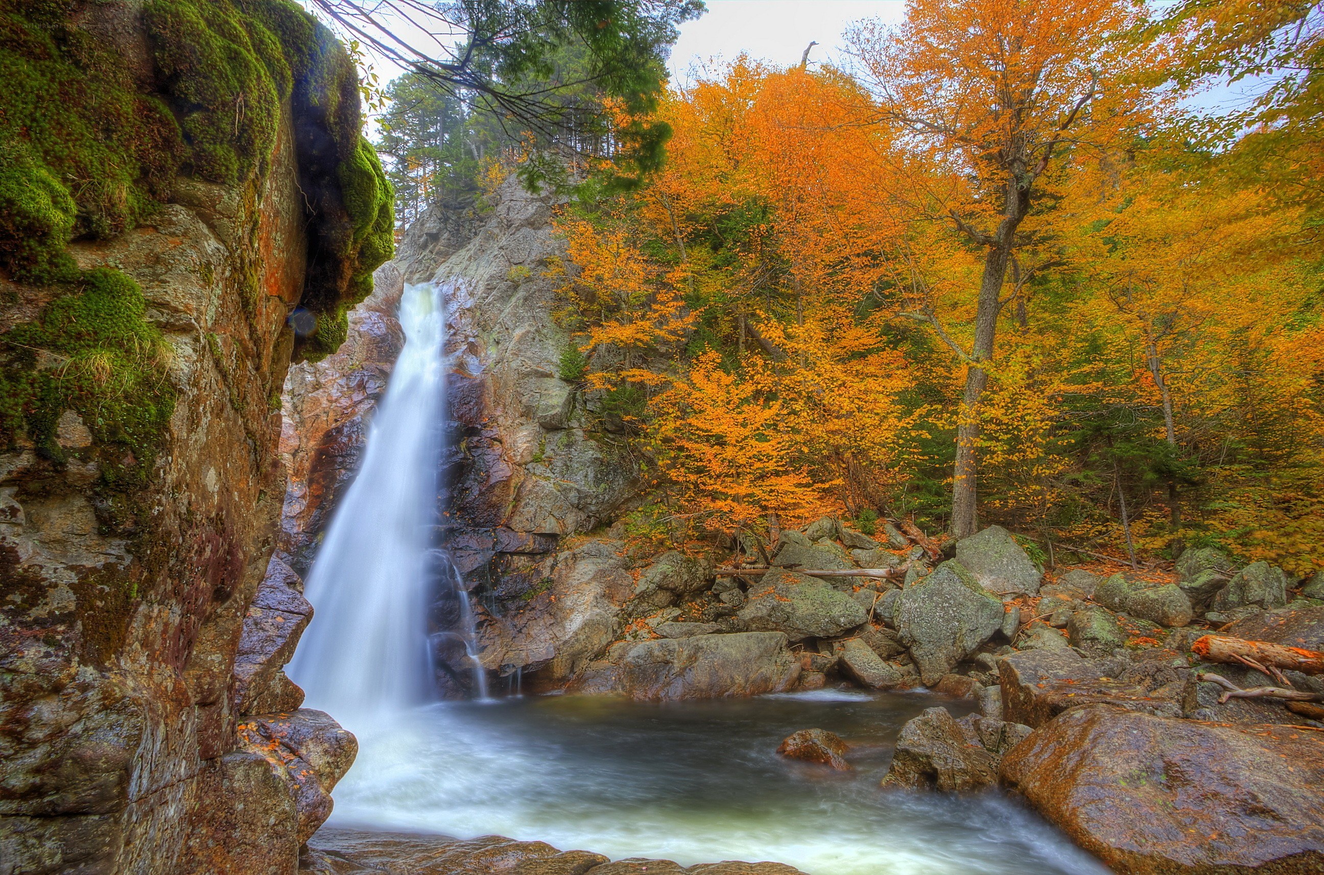 Autumn waterfall in forest