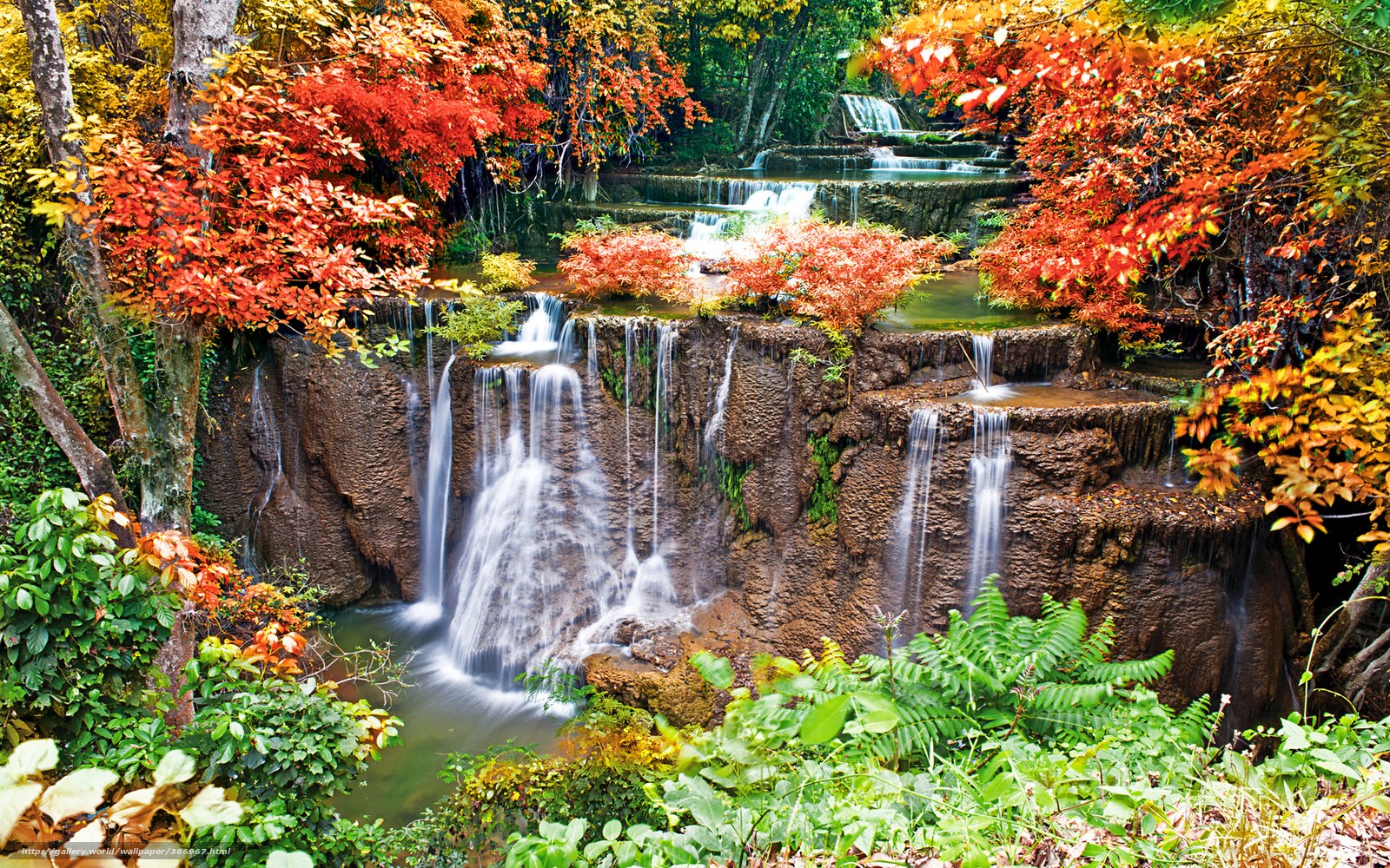 Autumn waterfall in forest