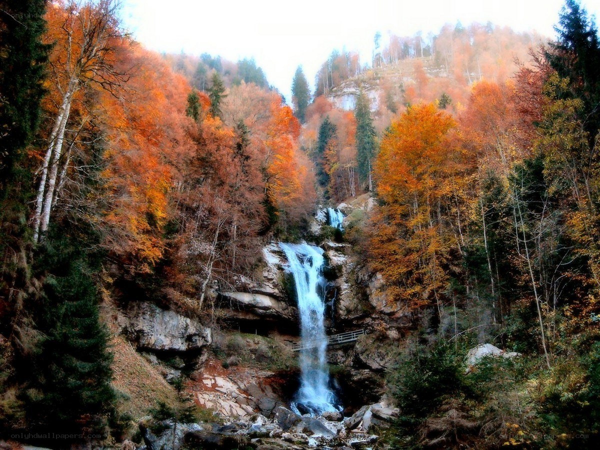 Autumn waterfall in forest