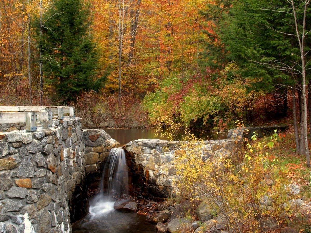 Autumn waterfall in forest