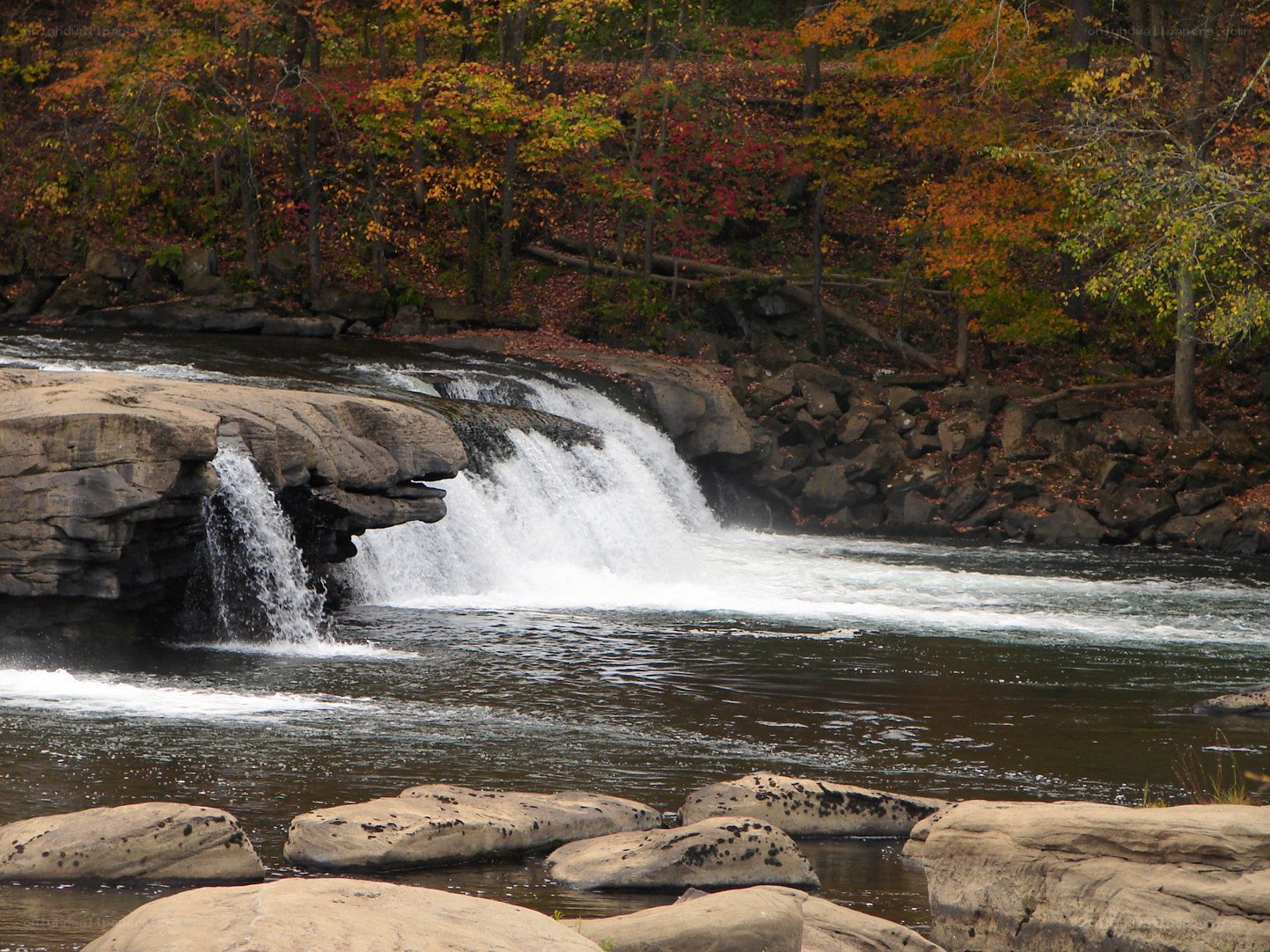 Autumn waterfall in forest