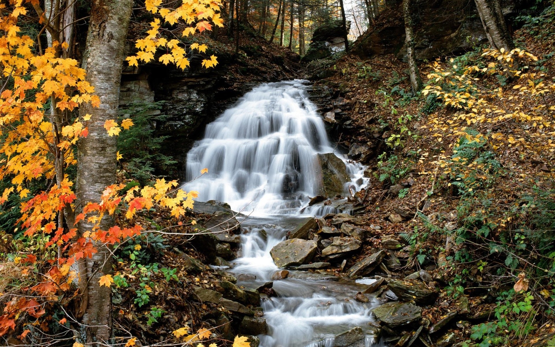 Autumn waterfall in forest