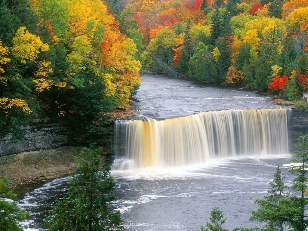 autumn waterfall in forest
