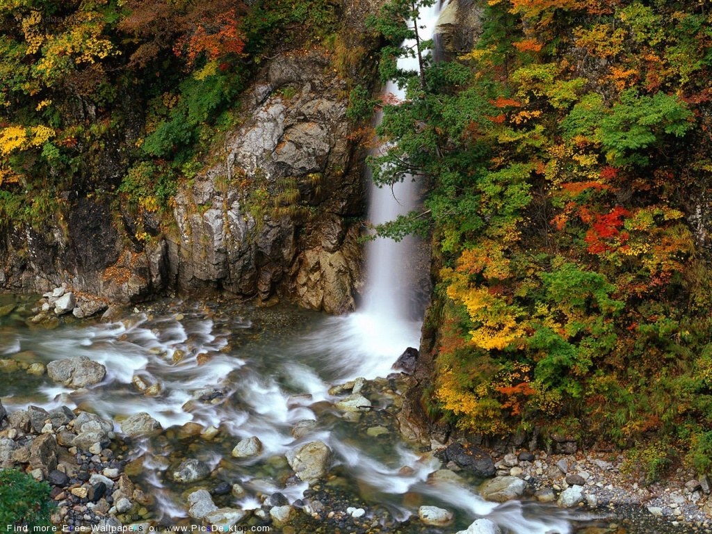 autumn waterfall in forest