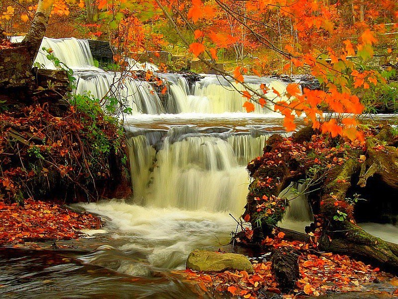 Autumn waterfall in forest