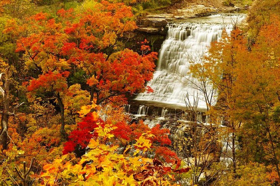 Autumn waterfall in forest