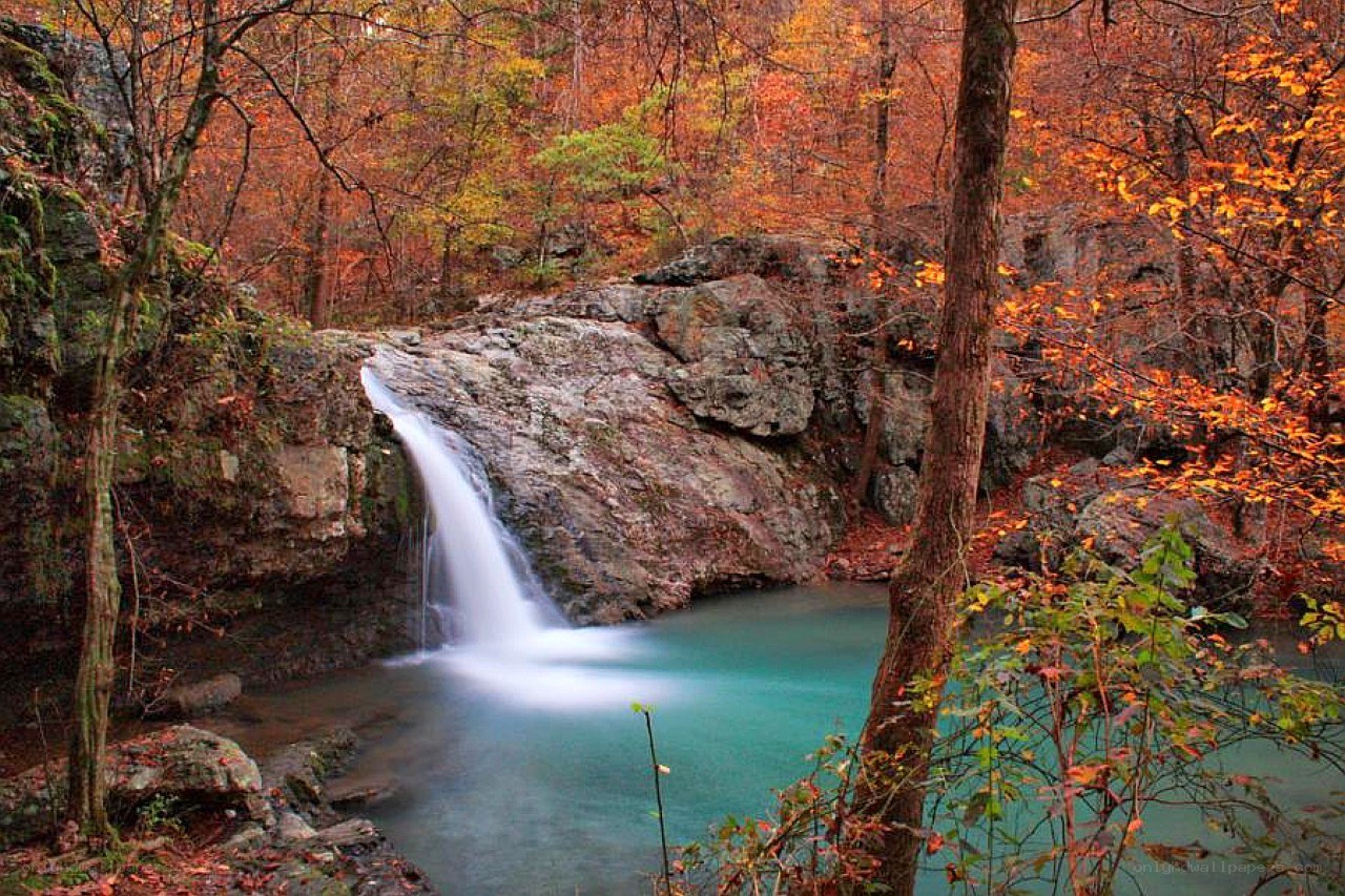 Autumn waterfall in forest