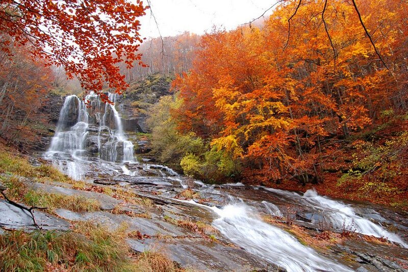 Autumn waterfall in forest