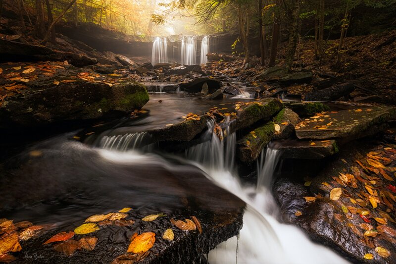 Autumn Waterfall in Forest — Brown