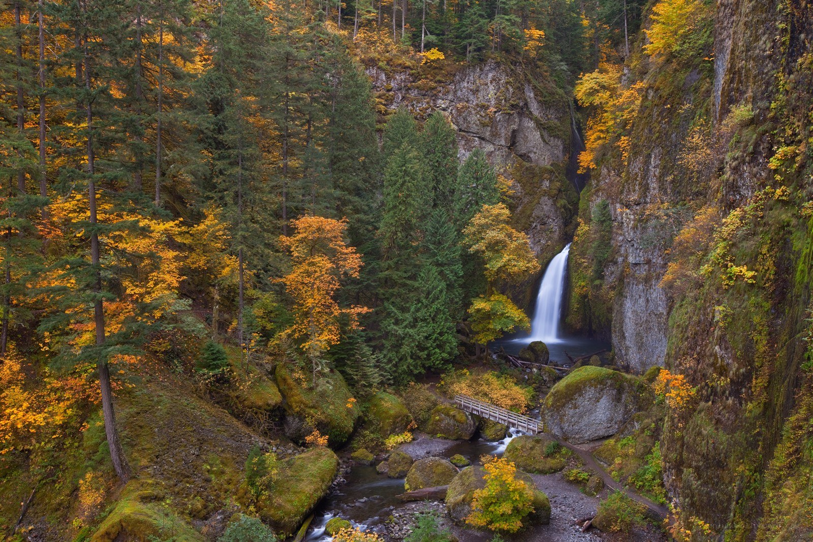 autumn waterfall in forest canyon