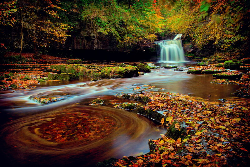 Autumn Waterfall in Forest — Green, Serene, Photograph, Fallen Leaves