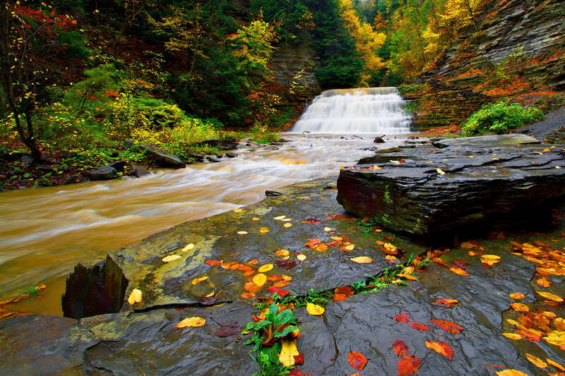 Autumn Waterfall in Forest — Green, Serene, Photograph, River, Leaves