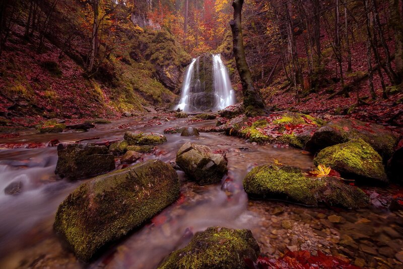 Autumn Waterfall in Forest — Green, Serene, Photograph, Stream