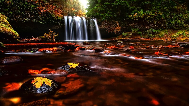 Autumn Waterfall in Forest — Green, Serene, Photograph