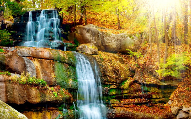 Autumn Waterfall in Forest — Green, Serene, Photograph, Trees, Rocks, Fallen Leaves