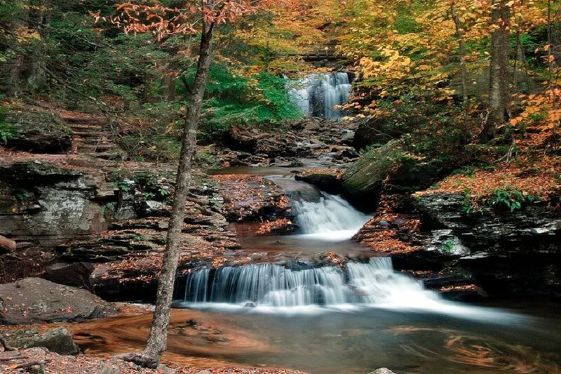 Autumn Waterfall in Forest — Green, Serene, Photograph, Trees