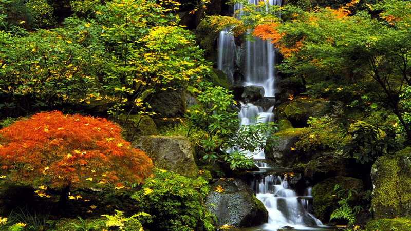 Autumn Waterfall in Forest — Green