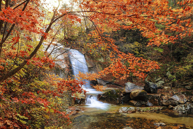 Autumn Waterfall in Forest — Orange, Serene, Photograph, Fallen Leaves, Rocks, Stream