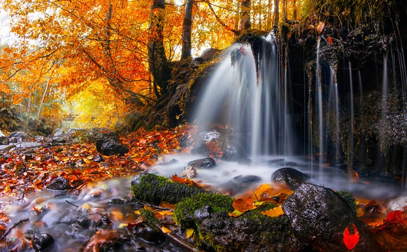 Autumn Waterfall in Forest — Orange, Serene, Photograph, Fallen Leaves, Rocks, Trees
