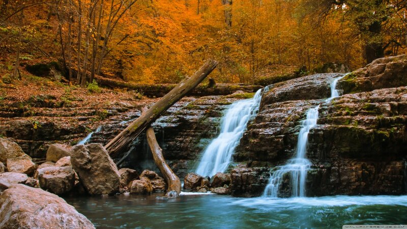Autumn Waterfall in Forest — Orange, Serene, Photograph, Fallen Log