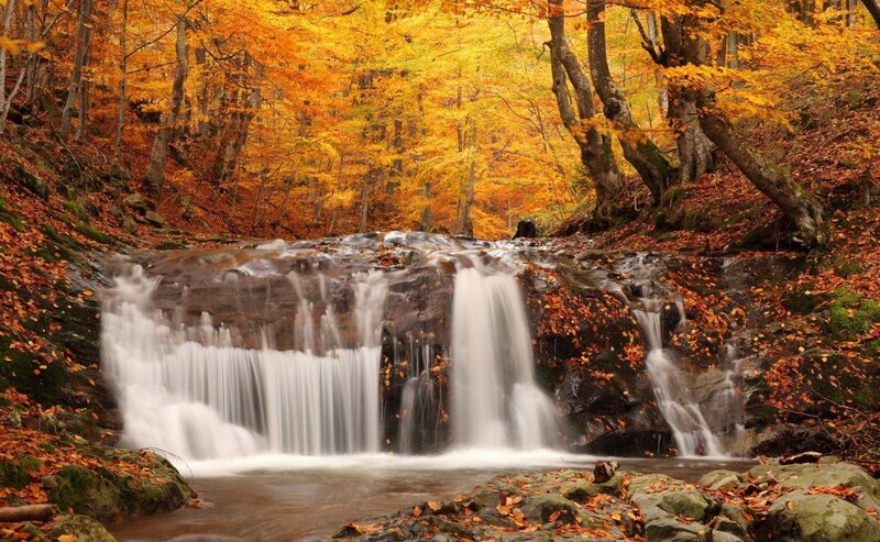 Autumn Waterfall in Forest — Orange, Serene, Photograph, Trees, Fallen Leaves, Rocks