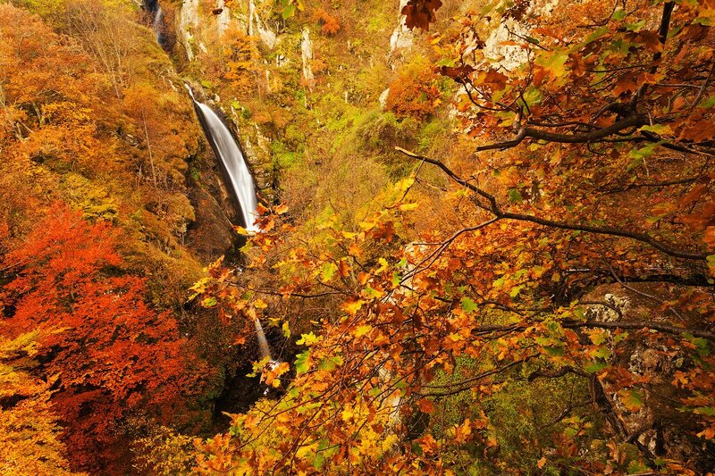 Autumn Waterfall in Forest — Orange, Serene, Photograph, Trees, Falling Water, Rocks, Leaves