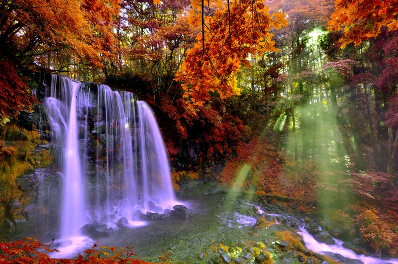Autumn Waterfall in Forest — Orange, Serene, Photograph, Trees, Falling Water, Rocks