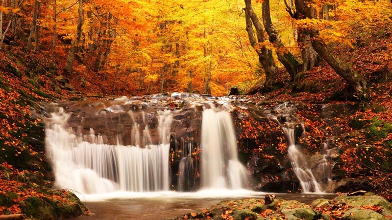 Autumn Waterfall in Forest — Orange, Serene, Photograph, Trees, Leaves, Rocks
