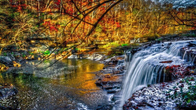 Autumn Waterfall in Forest — Orange, Serene, Photograph, Trees, River, Rocks, Fallen Leaves