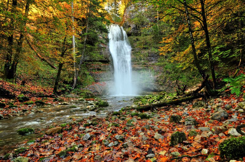 Autumn Waterfall in Forest — Orange, Serene, Photograph, Trees, River, Rocks, Leaves