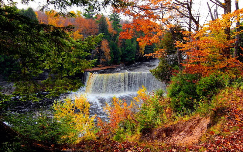Autumn Waterfall in Forest — Orange, Serene, Photograph, Trees, River