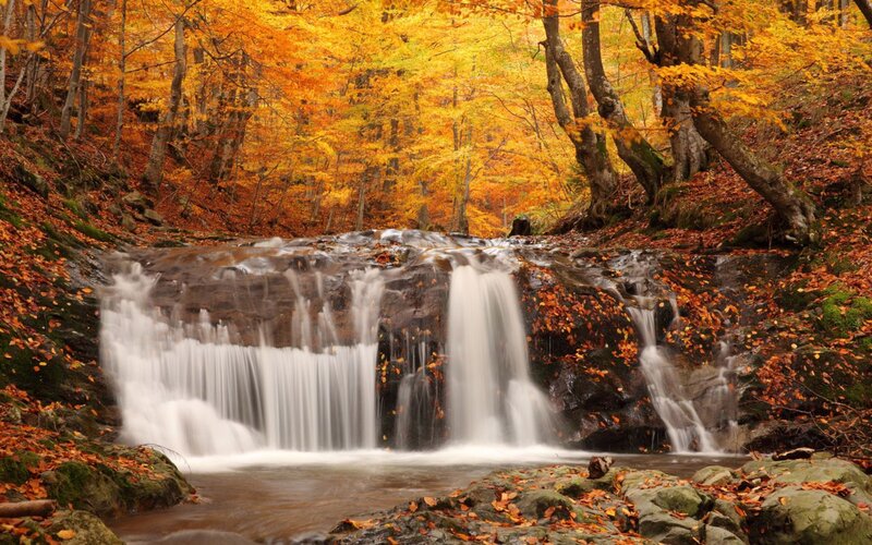 Autumn Waterfall in Forest — Orange, Serene, Photograph, Trees, Rocks, Leaves