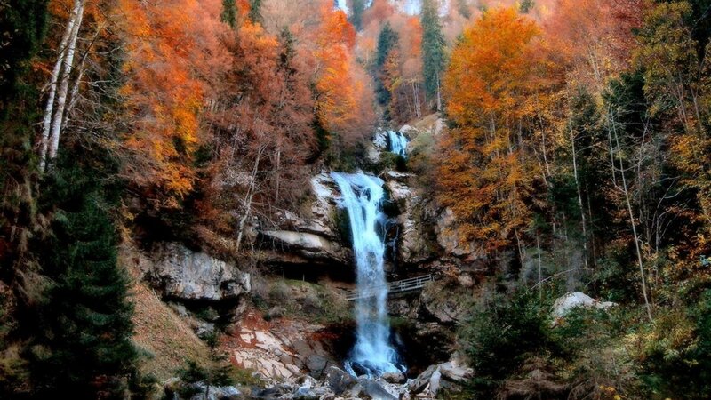 Autumn Waterfall in Forest — Orange, Serene