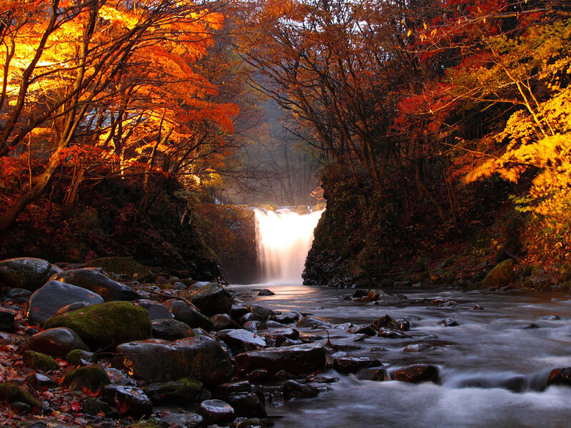 Autumn Waterfall in Forest — Orange