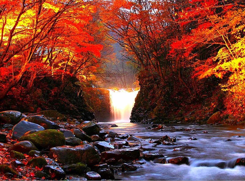Autumn Waterfall in Forest — Red, Serene, Photograph, River