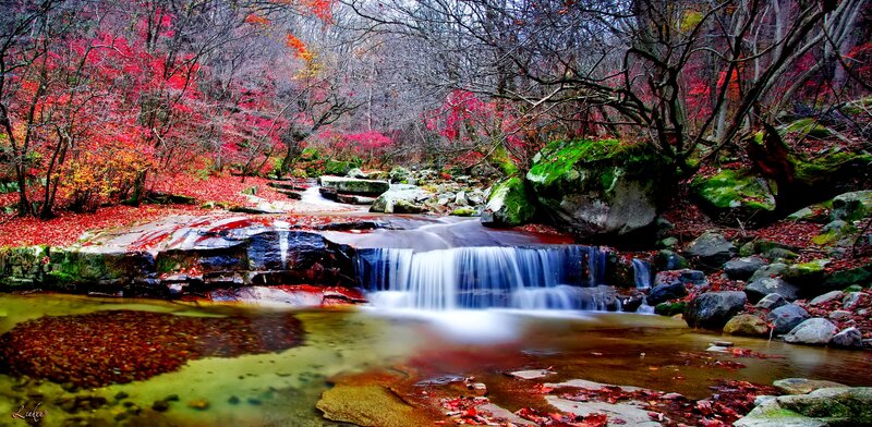 Autumn Waterfall in Forest — Red, Serene, Photograph, Stream