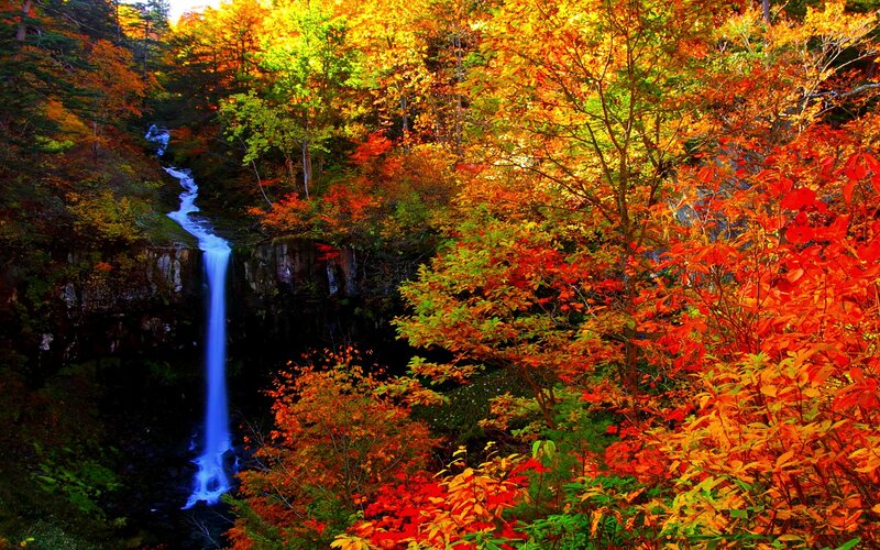 Autumn Waterfall in Forest — Red, Serene, Photograph