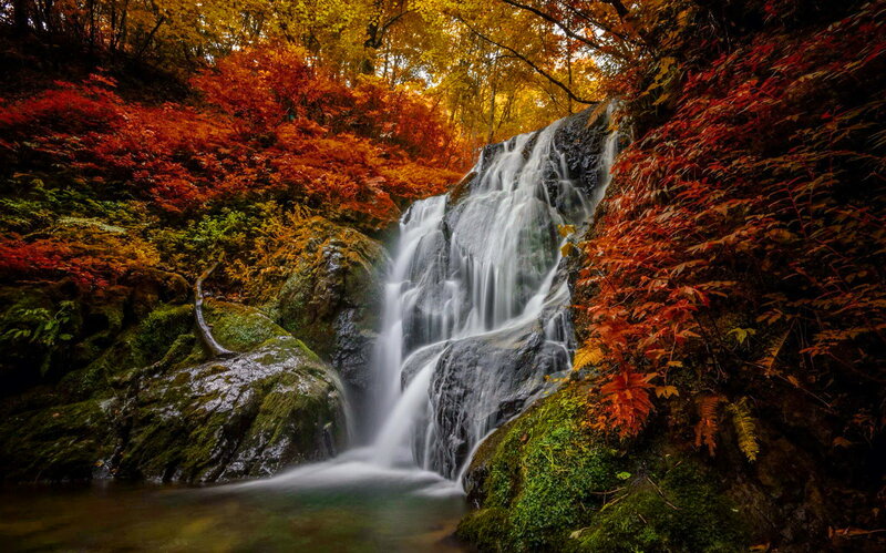 Autumn Waterfall in Forest — Red, Serene, Photograph, Trees, Rocks