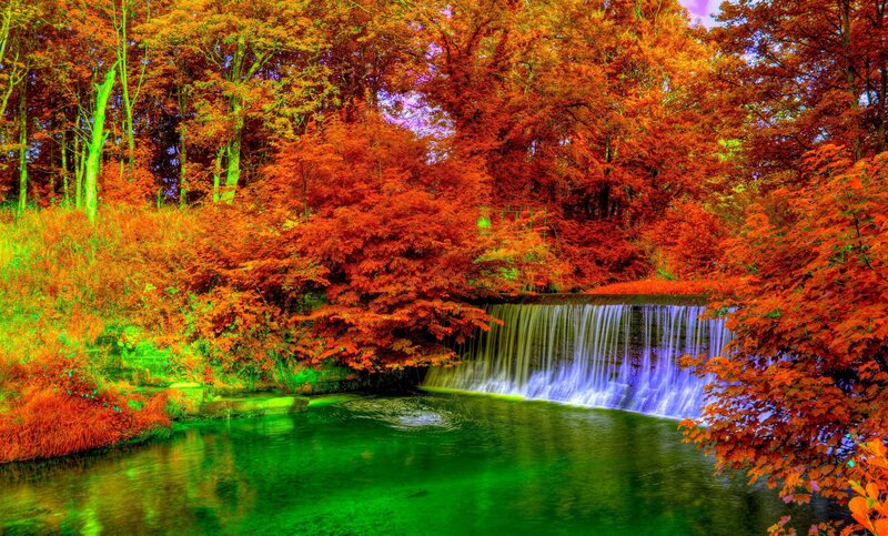 Autumn Waterfall in Forest — Red, Serene, Photograph, Trees, Stream