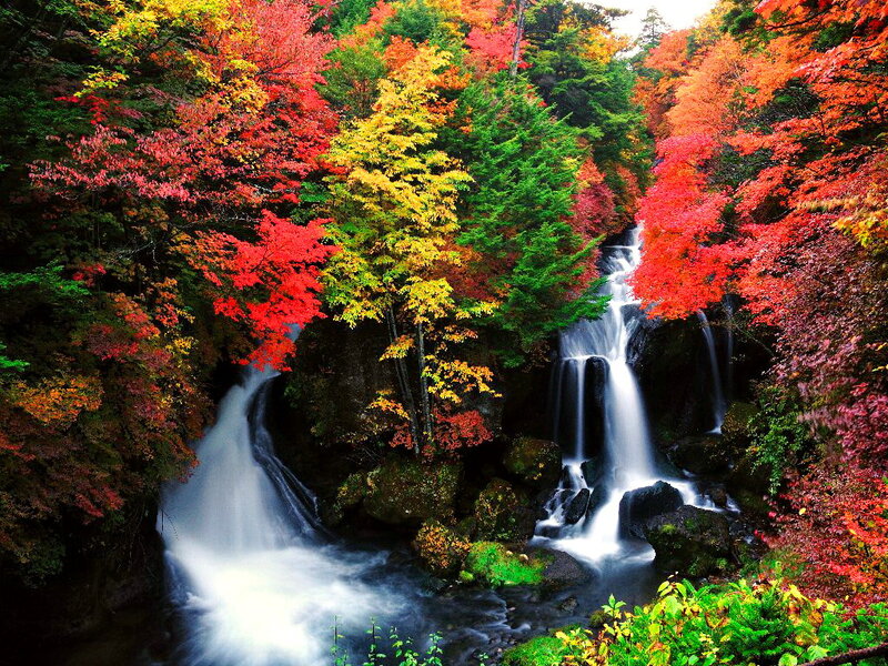 Autumn Waterfall in Forest — Red, Serene, Photograph, Trees