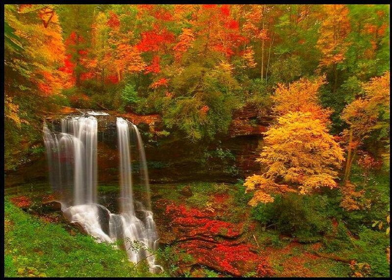 Autumn Waterfall in Forest — Red, Serene