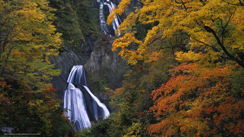 Autumn waterfall in forest