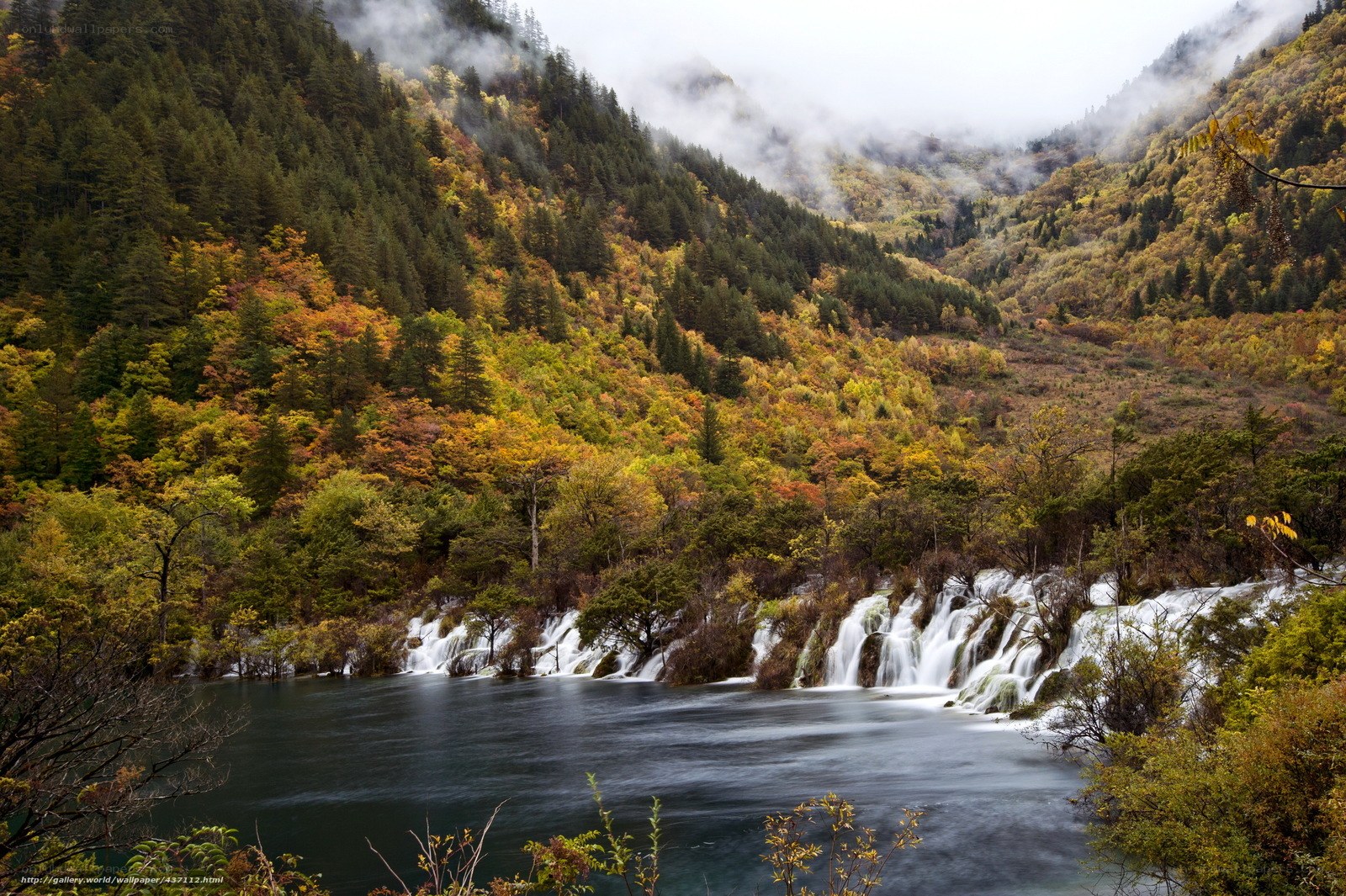 Autumn waterfall in forest valley