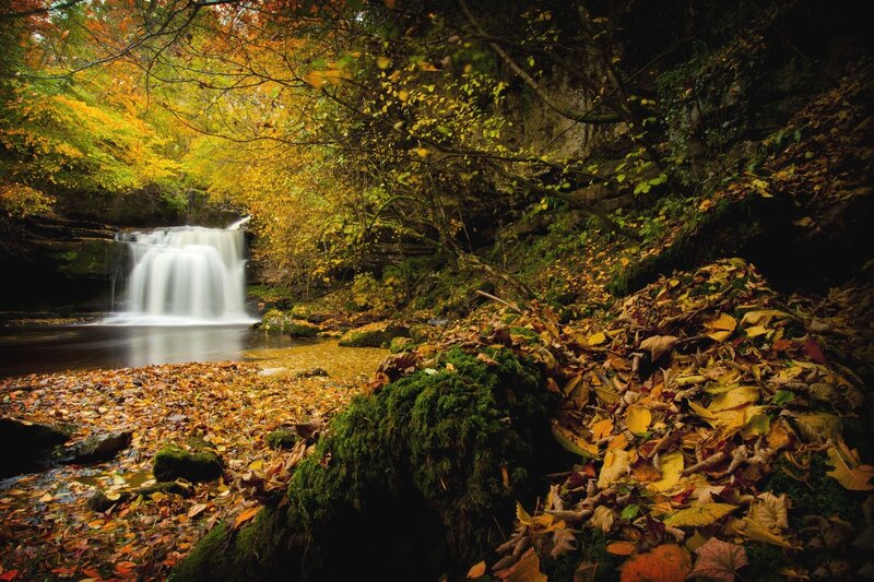 Autumn Waterfall in Forest — Yellow, Serene, Photograph, Fallen Leaves