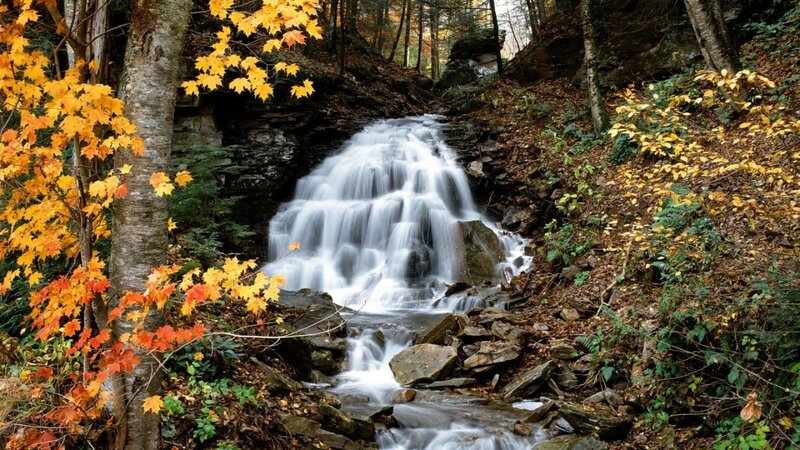 Autumn Waterfall in Forest — Yellow, Serene, Photograph