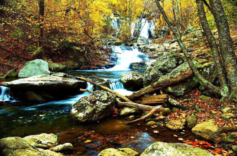 Autumn Waterfall in Forest — Yellow, Serene, Photograph, Trees, Rocks, Fallen Leaves