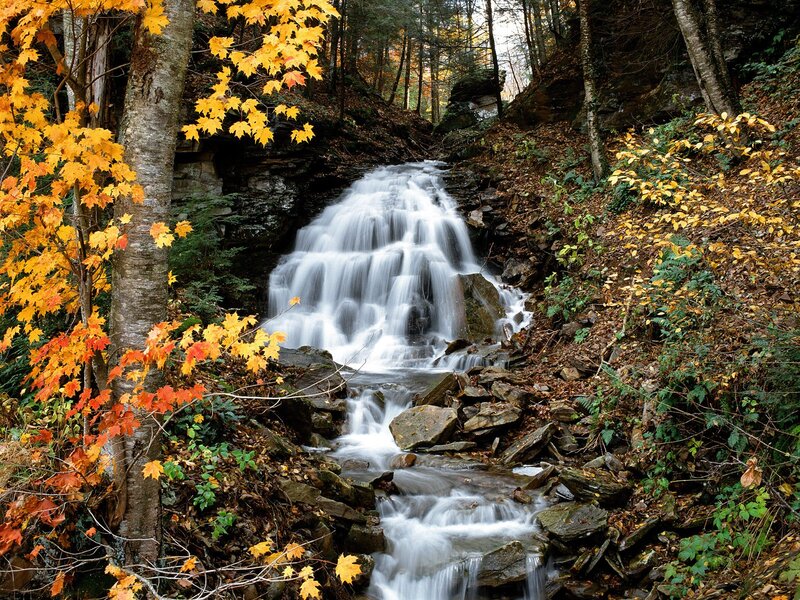 Autumn Waterfall in Forest — Yellow, Serene, Photograph, Trees