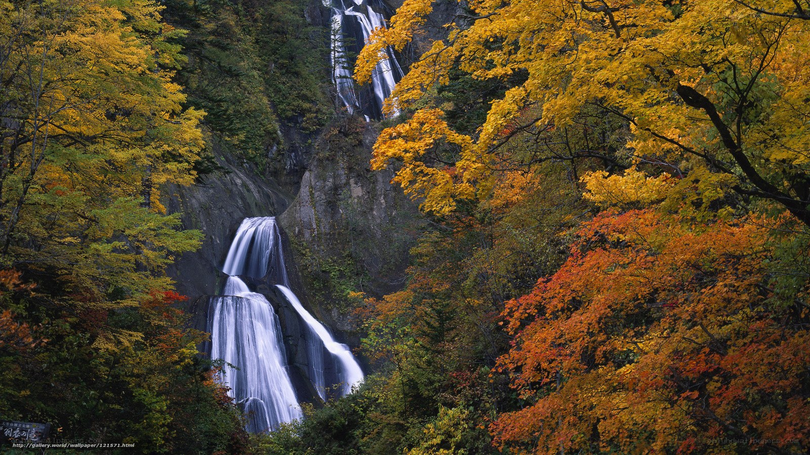 Autumn waterfall in forest