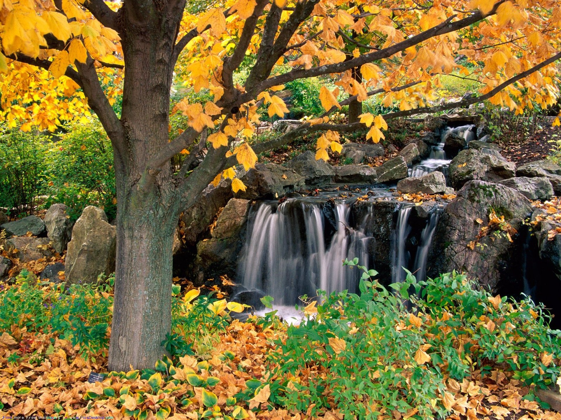 Autumn waterfall in garden