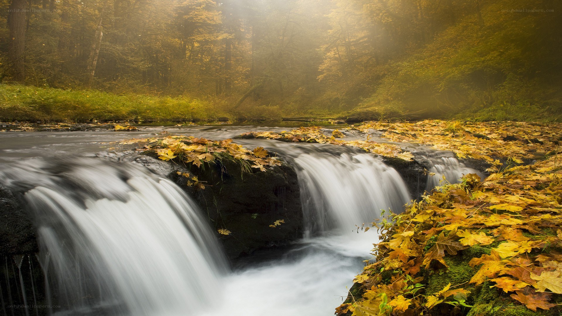 Autumn waterfall in misty forest